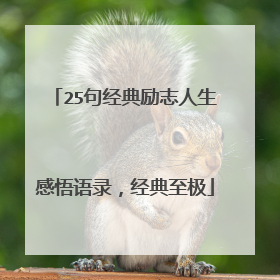 25句经典励志人生感悟语录，经典至极