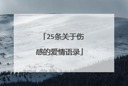25条关于伤感的爱情语录