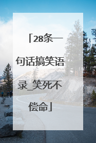 28条一句话搞笑语录_笑死不偿命