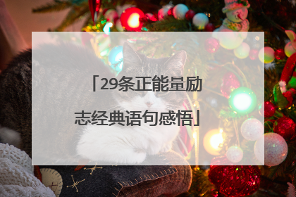 29条正能量励志经典语句感悟