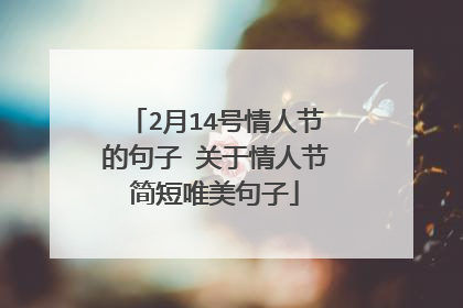 2月14号情人节的句子 关于情人节简短唯美句子