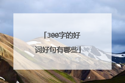 300字的好词好句有哪些