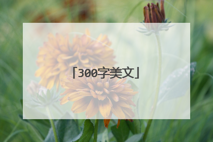 300字美文