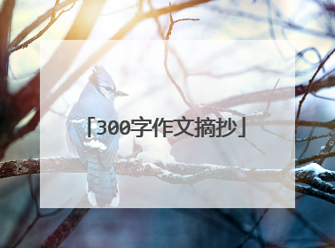 300字作文摘抄