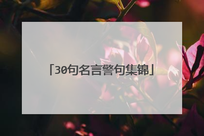 30句名言警句集锦