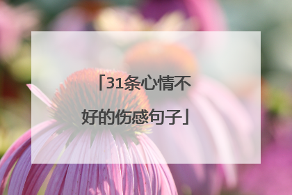 31条心情不好的伤感句子