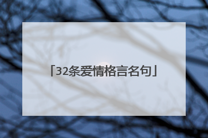 32条爱情格言名句