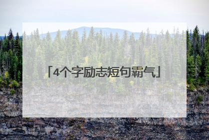 4个字励志短句霸气