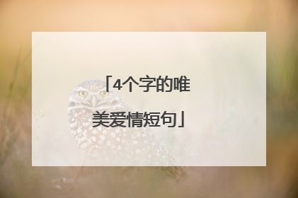 4个字的唯美爱情短句