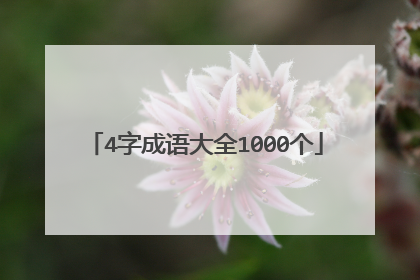 4字成语大全1000个