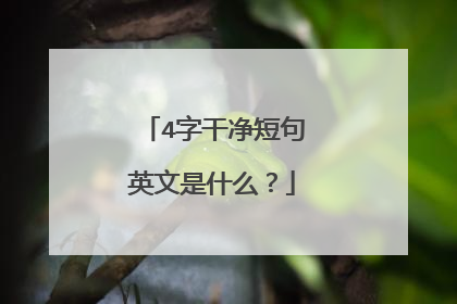 4字干净短句英文是什么?