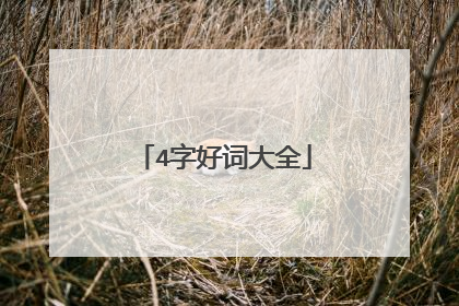4字好词大全