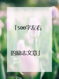 500字左右的励志文章