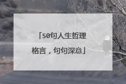 50句人生哲理格言,句句深意