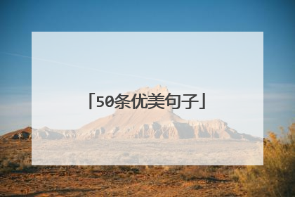 50条优美句子