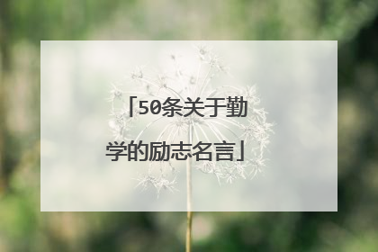 50条关于勤学的励志名言