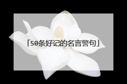 50条好记的名言警句