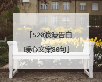 520浪漫告白暖心文案80句