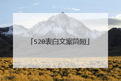 520表白文案简短