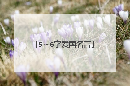 5~6字爱国名言