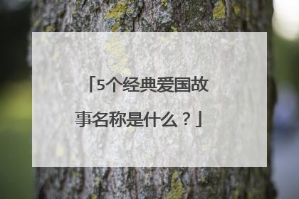 5个经典爱国故事名称是什么？