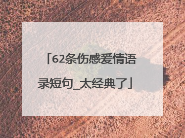 62条伤感爱情语录短句_太经典了