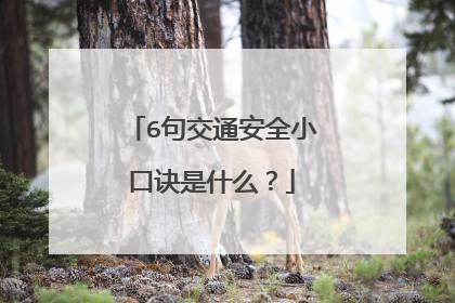 6句交通安全小口诀是什么?