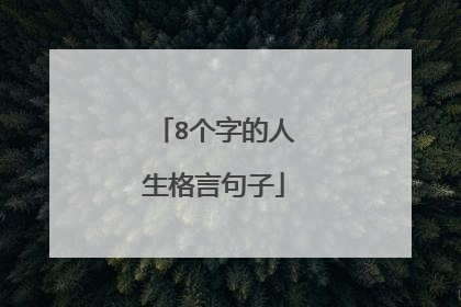 8个字的人生格言句子