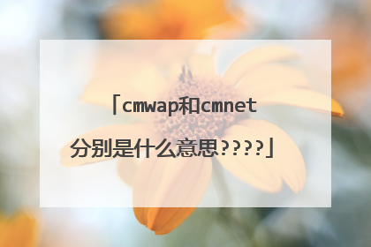 cmwap和cmnet分别是什么意思????