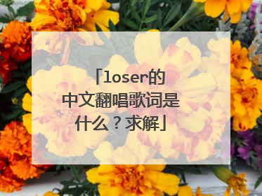 loser的中文翻唱歌词是什么？求解