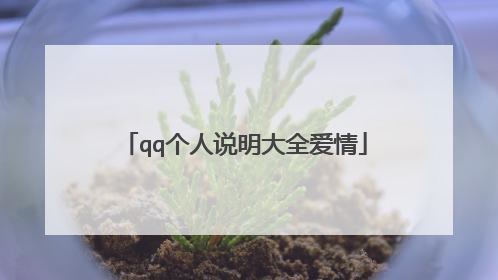 qq个人说明大全爱情