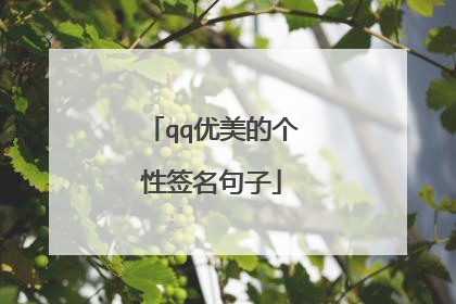 qq优美的个性签名句子