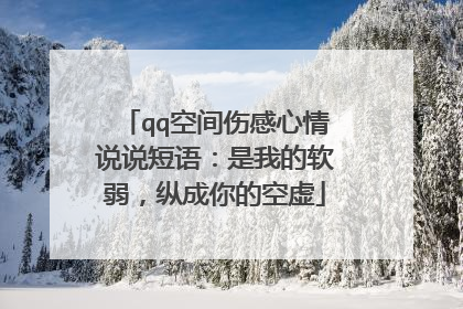 qq空间伤感心情说说短语：是我的软弱，纵成你的空虚