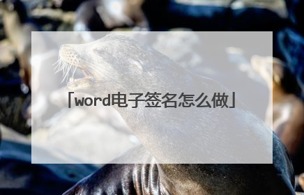 word电子签名怎么做