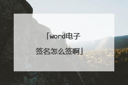 word电子签名怎么签啊