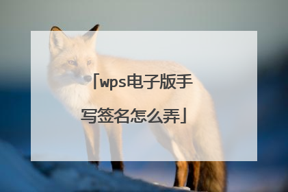 wps电子版手写签名怎么弄