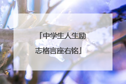 中学生人生励志格言座右铭
