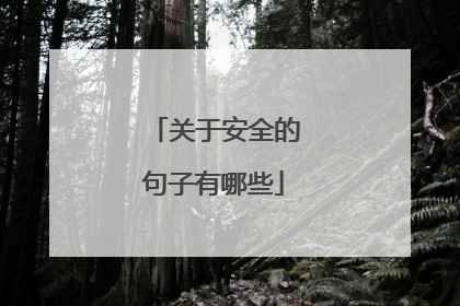 关于安全的句子有哪些
