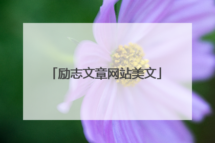 励志文章网站美文