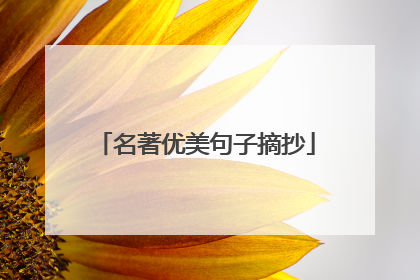 名著优美句子摘抄