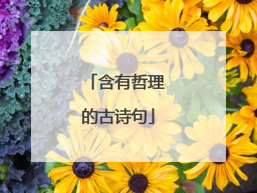 含有哲理的古诗句