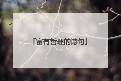 富有哲理的诗句