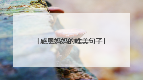 感恩妈妈的唯美句子