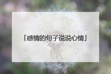 感情的句子说说心情