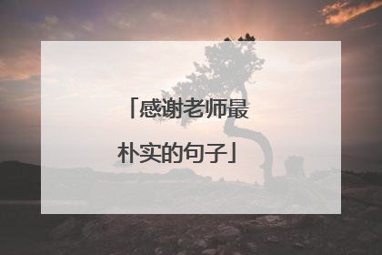 感谢老师最朴实的句子