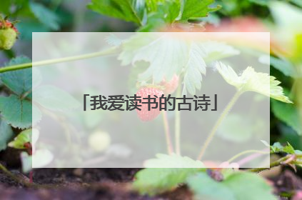 我爱读书的古诗