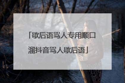 歇后语骂人专用顺口溜抖音骂人歇后语