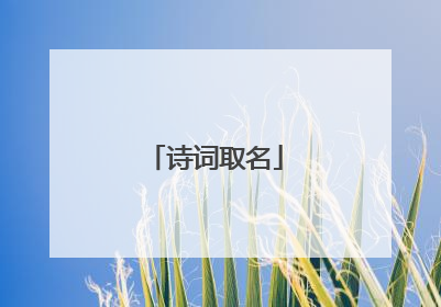 诗词取名