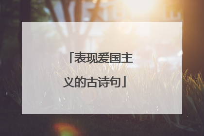 表现爱国主义的古诗句