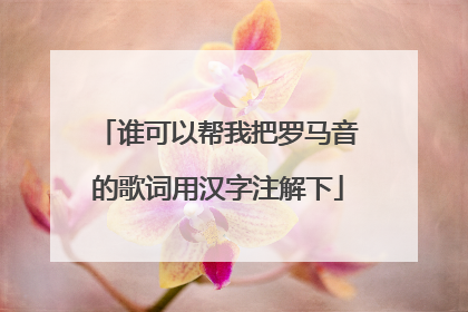 谁可以帮我把罗马音的歌词用汉字注解下